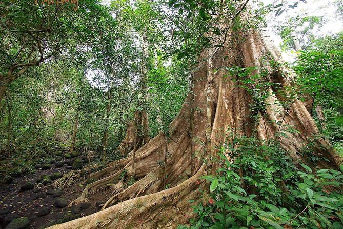 Nam Cat Tien National Park 2-Day Tour with Lodging, Meals.. - Key things to know before you go