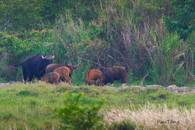Nam Cat Tien National Park 2-Day Tour with Lodging, Meals.. - Getting out of Ho Chi Minh City fast, without feeling rushed