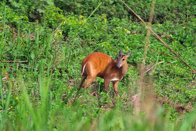 Nam Cat Tien National Park 2-Day Tour with Lodging, Meals.. - Lava tubes and old volcanic craters: the start that sets the tone