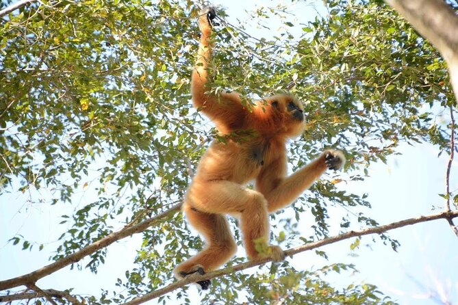 Nam Cat Tien National Park 2 Days 1 Night - Private Tour - Who this private Cat Tien 2D1N tour suits best