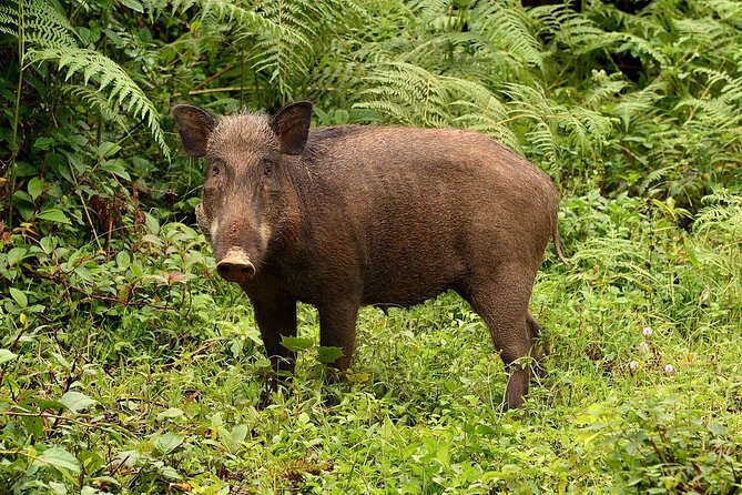 Nam Cat Tien National Park 2 Days 1 Night - Private Tour - Day 2 at Cat Tien: Bau Sau Lake, jeep transfer, then a 5 km walk