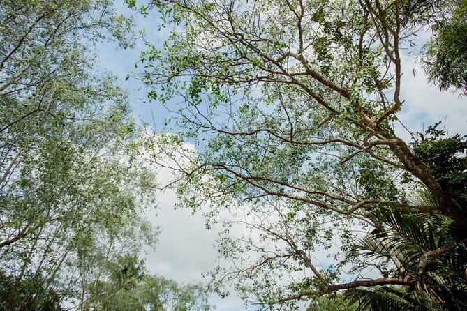 Premium Can Tho Small Canal Tour in Mekong Delta - Starting at Ninh Kieu Wharf: the tour’s easy launch