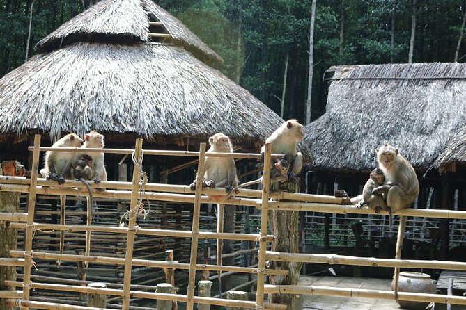 Private Can Gio Biosphere Reserve Day Trip from Ho Chi Minh City - Crocodile fishing fee, what’s included and what to expect