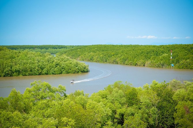 Private Can Gio Mangrove Eco Tour – Boat & Wildlife - Mangroves Close to Ho Chi Minh City: Why This Tour Works
