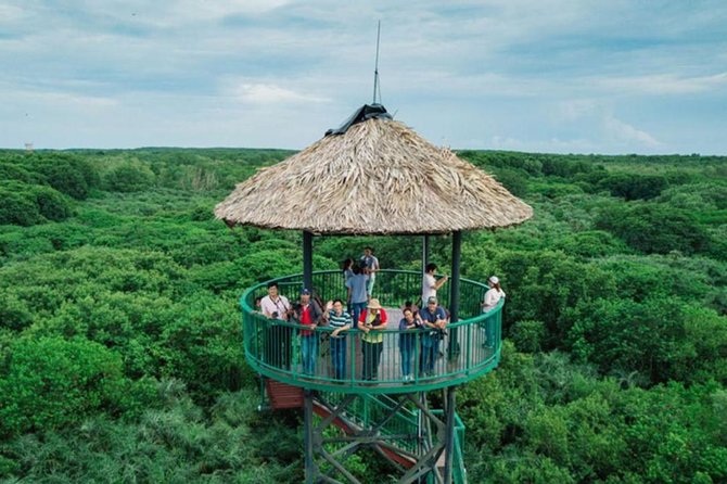 Private Can Gio Mangrove Eco Tour – Boat & Wildlife - Vam Sat Canopy Tower: Views You Earn, Plus a Fitness Reality Check