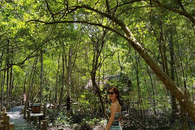 Private Can Gio Mangrove Eco Tour – Boat & Wildlife - Riverside Lunch and Local Fruit Tasting: The Midday Reset