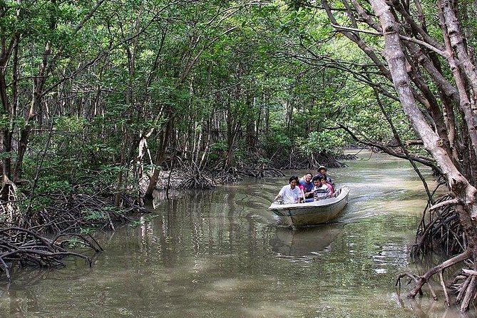 Private Can Gio Mangrove Eco Tour – Boat & Wildlife - Transfers From Ho Chi Minh City: The Part People Underestimate