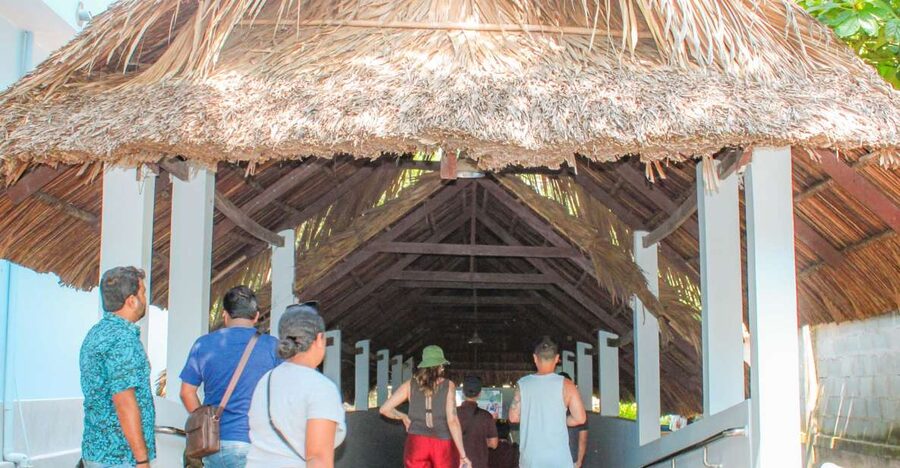 Private Cu Chi & Mekong Delta Tour: History Meets Nature - Price and value: $140 for a private group of up to 2