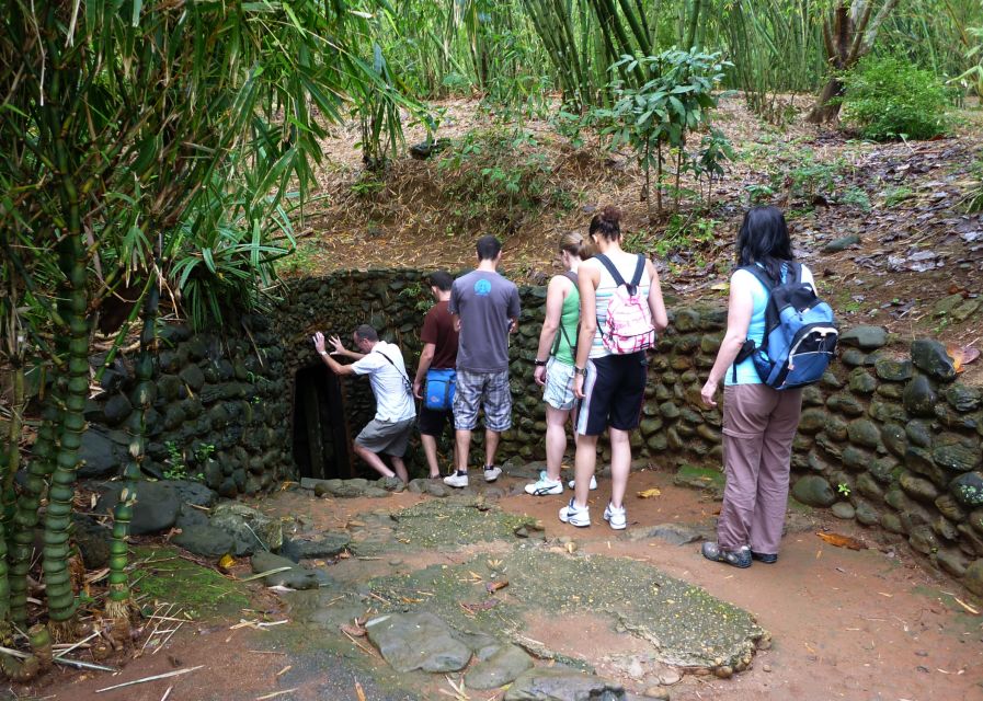 Private Cu Chi & Mekong Delta Tour: History Meets Nature - Guerrilla food and cassava tea: the simplest meal with the biggest meaning