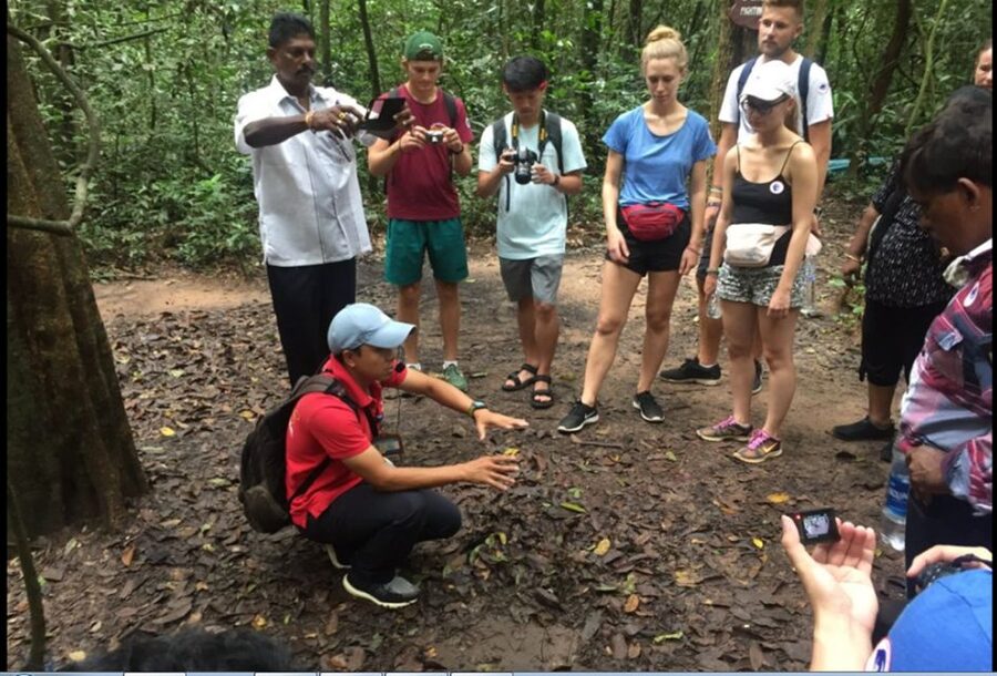 Private Cu Chi & Mekong Delta Tour: History Meets Nature - Lunch, pickup points, and timing details that affect real comfort