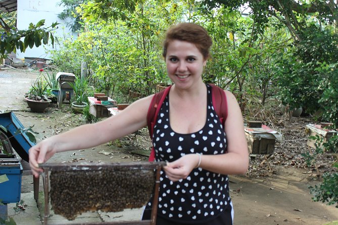 Private Cu Chi Tunnels and Mekong Delta full day - My Tho and the Mekong Delta, Boat Ride Plus Culture and Fruit