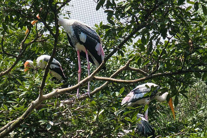 Private Full Day Mekong Delta Tour to Dong Thap Muoi Wetlands - Dragon fruit garden tour: two varieties and a cultivation story