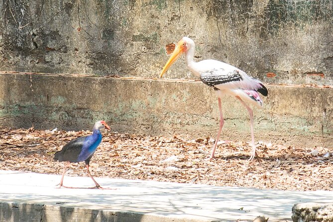 Private Full Day Mekong Delta Tour to Dong Thap Muoi Wetlands - Lunch in the countryside: regional flavors with a real time slot