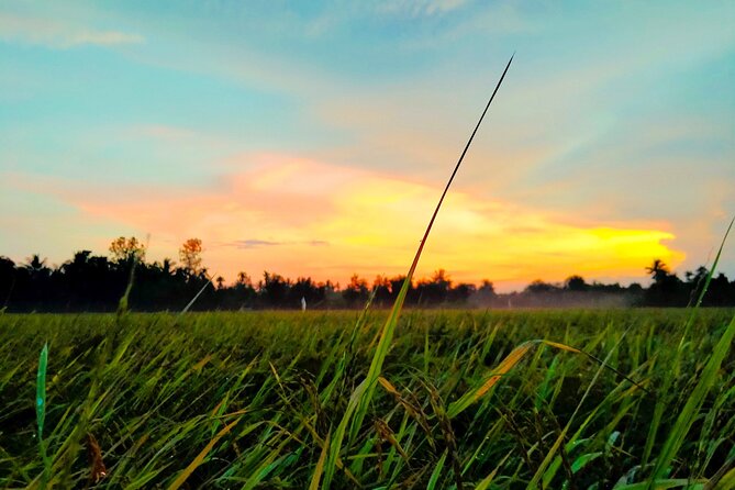 PRIVATE Mekong Delta 1 Day with Kayaking, Biking & Cooking - A Mekong Day That Actually Fits From Ho Chi Minh City