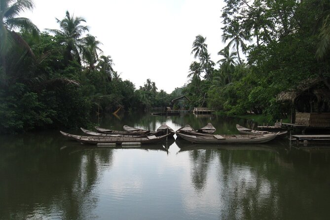 Private Mekong Delta Shore Excursions from Cruise Port - Horse Cart Roads and Coconut Candy Making in Ben Tre