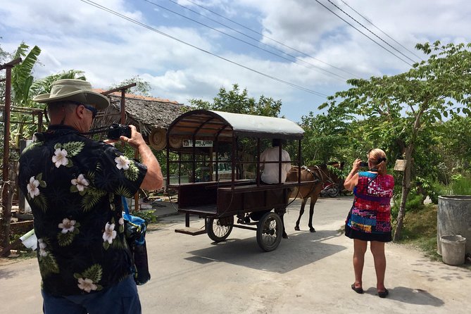 Private Mekong Delta Tour - My Tho - Ben Tre from Cruise Port - Vinh Trang Temple Near My Tho: A Calm Break With Names You Can Remember