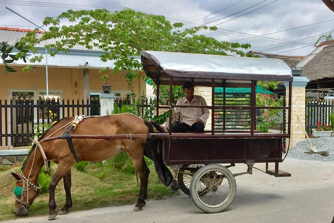 Private Mekong Delta Tour - My Tho - Ben Tre from Cruise Port - Who Should Book This Private Mekong Delta Tour