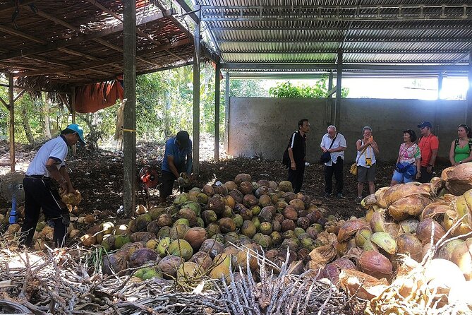 Private tour: Explore the authentic rural life in Ben Tre - Stop 4: Mat Weaving House, try the handloom for real