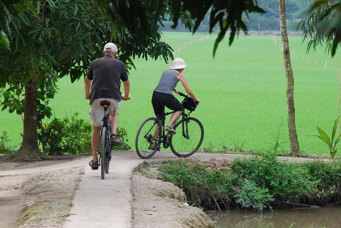 Private Tour Mekong Delta Day Trip from Ho Chi Minh City - Should you book this private Mekong Delta day trip?