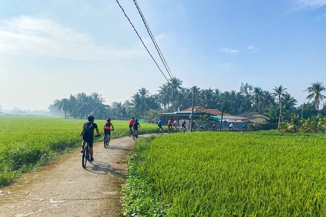 Saigon Countryside Cycling Adventure - Why Long An Feels Like a Mekong Delta Warm-Up