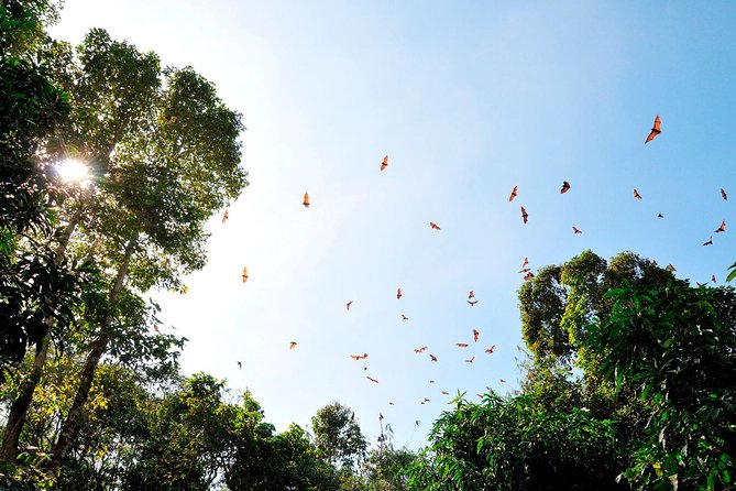 Small-Group Tour to Can Gio Vam Sat Mangrove Forest - Bird Reserve and the Watchtower: What Changes by Season