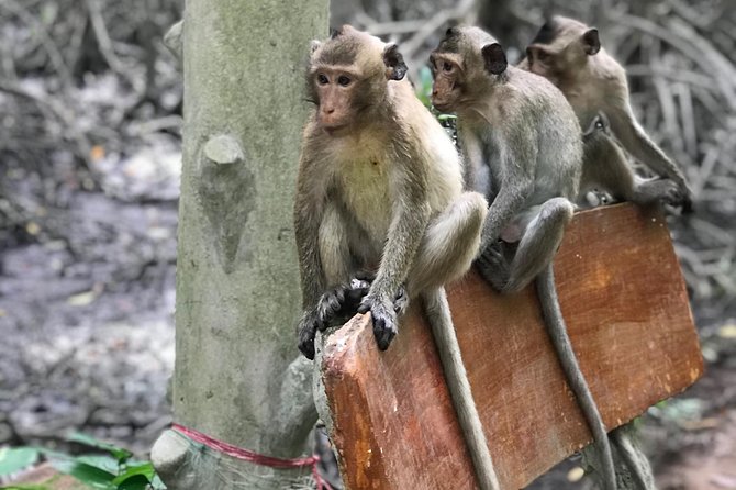 Small-Group Tour to Can Gio Vam Sat Mangrove Forest - Price and Value: Is $129 Reasonable for This Full Day?