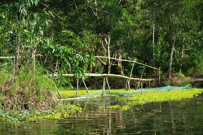 Southern Forest Tour – Explore Hau Giang Nature - Stop 2: Lung Ngọc Hoàng Natural Reserve by Longtail Boat