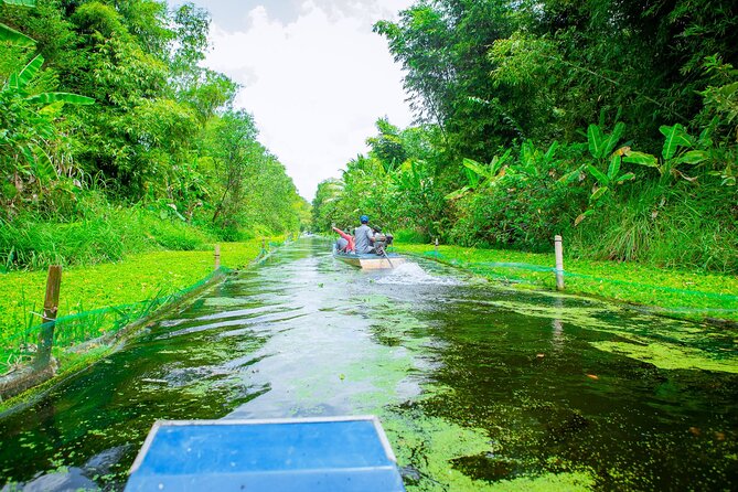 Southern Forest Tour – Explore Hau Giang Nature - Stop 1: Ngã Bảy and the Seven Waterways Market Moment