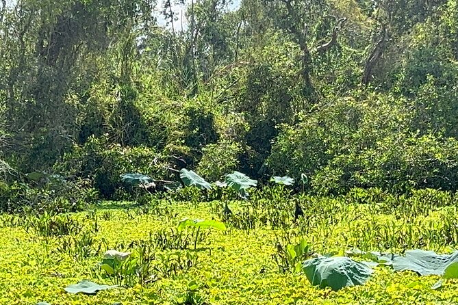 Tan Lap Floating Village Authentic Mekong Delta Nature Tour - Lang Noi Tan Lap arrival: electric shuttle, boats, and moving through the village