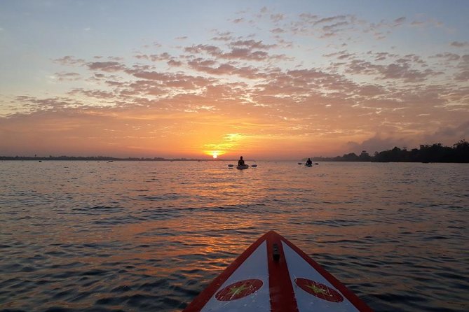 Two -day Journey Off the Beaten Path for a True Mekong Adventure - From Ho Chi Minh City to the Delta, Without the Chaos
