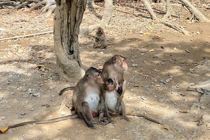UNESCO Listed Can Gio Mangrove and Monkey Island trek - Hang Duong Market: seafood-first and very local