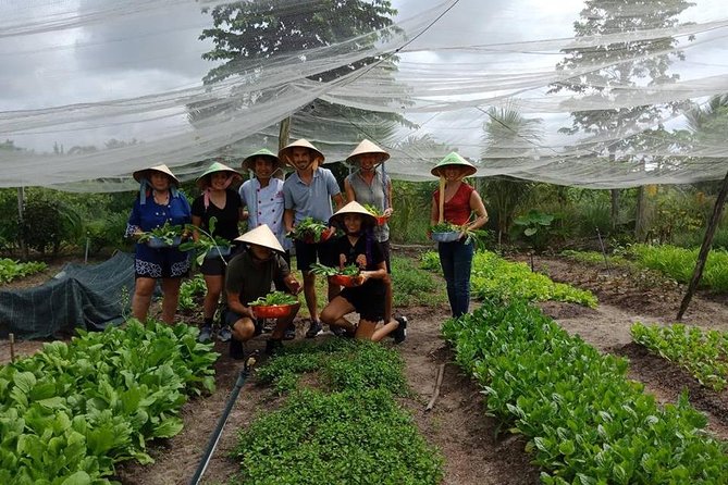 Unique farm to Table cooking class in Saigon - Entering the day: pickup, the organic farm welcome, and the farm tour