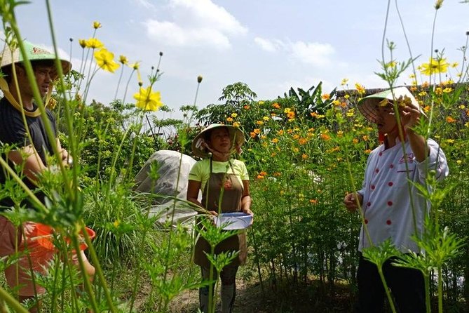 Unique farm to Table cooking class in Saigon - Small group energy up to 15: why it makes the class better