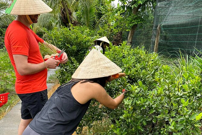 Unique Farm to Table Cooking Class with Top Chef in Vietnam - Certificates, recipes, and what you take home