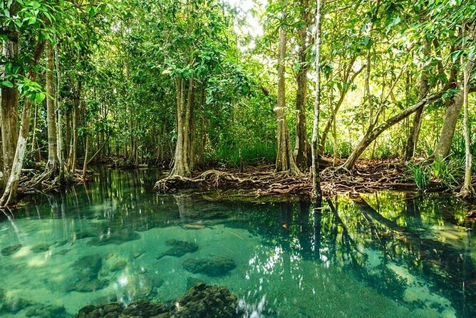 Vam Sat Mangrove Forest - VIP Private Tour - The 26 m high climb and what it likely adds to the day