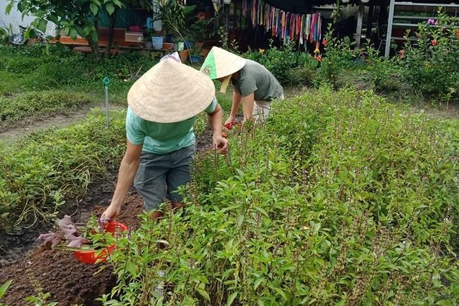 Vietnamese Cooking Class and Cu Chi Tunnels Tour from Ho Chi Minh City - Group size, timing, and how to prep so it feels smooth
