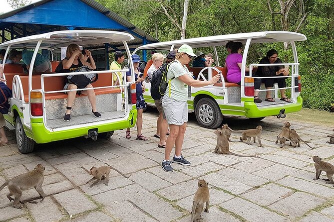 VIP Tour in Vam Sat: Can Gio Mangrove Forest by SpeedBoat - Why Can Gio and Vam Sat are such a smart day trip from Ho Chi Minh City
