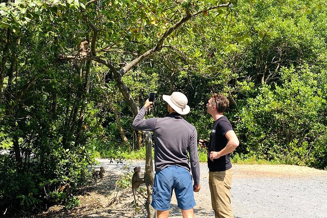 VIP Tour in Vam Sat: Can Gio Mangrove Forest by SpeedBoat - Weather planning tips that actually help (umbrella season, jacket season)