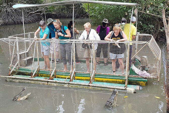 VIP Tour in Vam Sat: Can Gio Mangrove Forest by SpeedBoat - Entering the Can Gio Biosphere Reserve: mangroves, salt marshes, and wildlife you can actually look for